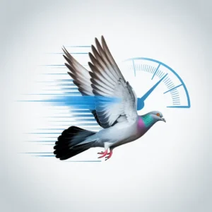pigeon velocity calculator